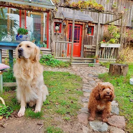 Gemuetliches Studio-apartment In Ostseenaehe - Cosy Wulfi * Probsteierhagen