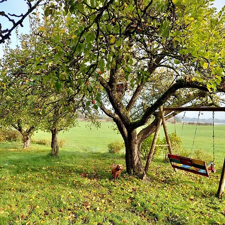 Gemuetliches Studio-apartment In Ostseenaehe - Cosy Wulfi Lejlighed