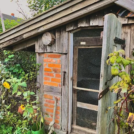 Gemuetliches Studio-apartment In Ostseenaehe - Cosy Wulfi * Probsteierhagen