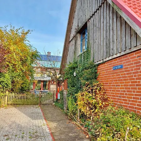 Gemuetliches Studio-apartment In Ostseenaehe - Cosy Wulfi Lejlighed