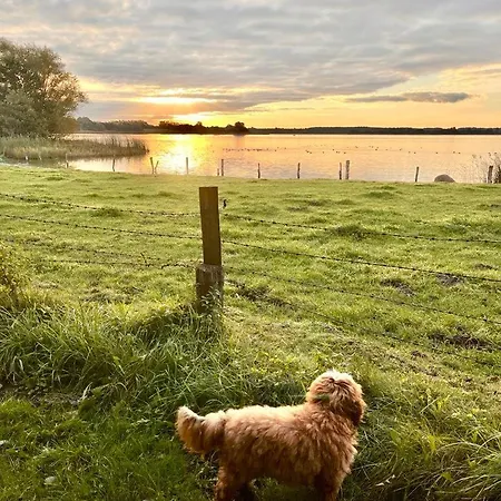 Gemuetliches Studio-apartment In Ostseenaehe - Cosy Wulfi *