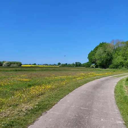 Gemuetliches Studio-apartment In Ostseenaehe - Cosy Wulfi Lejlighed